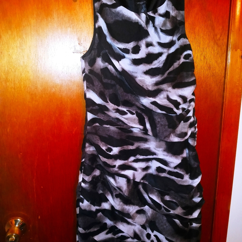 Ann Taylor Dress